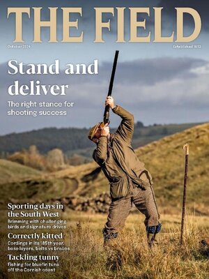 cover image of The Field